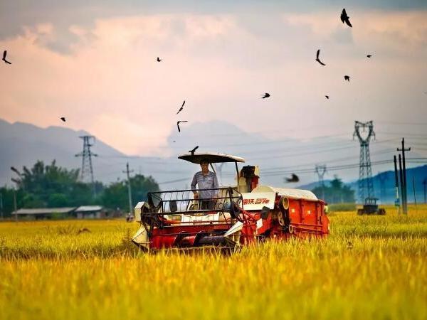 26��ũҵ���յġ��ൺ̽����