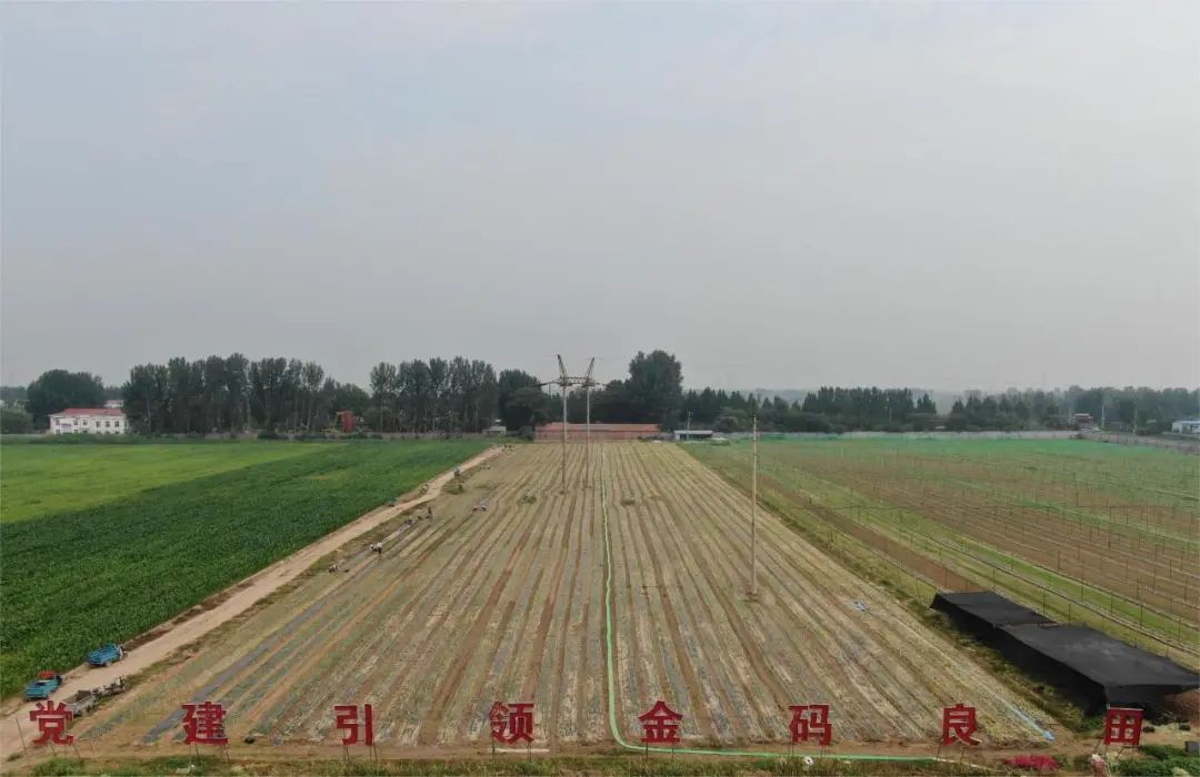 ������ƽ����ͷ�򣺡���ҩ�ġ�������¸�����