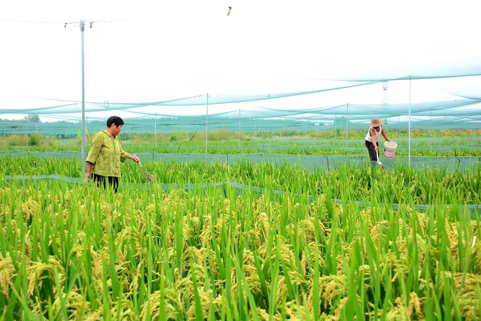 ������۰���أ������С��������ɽ�