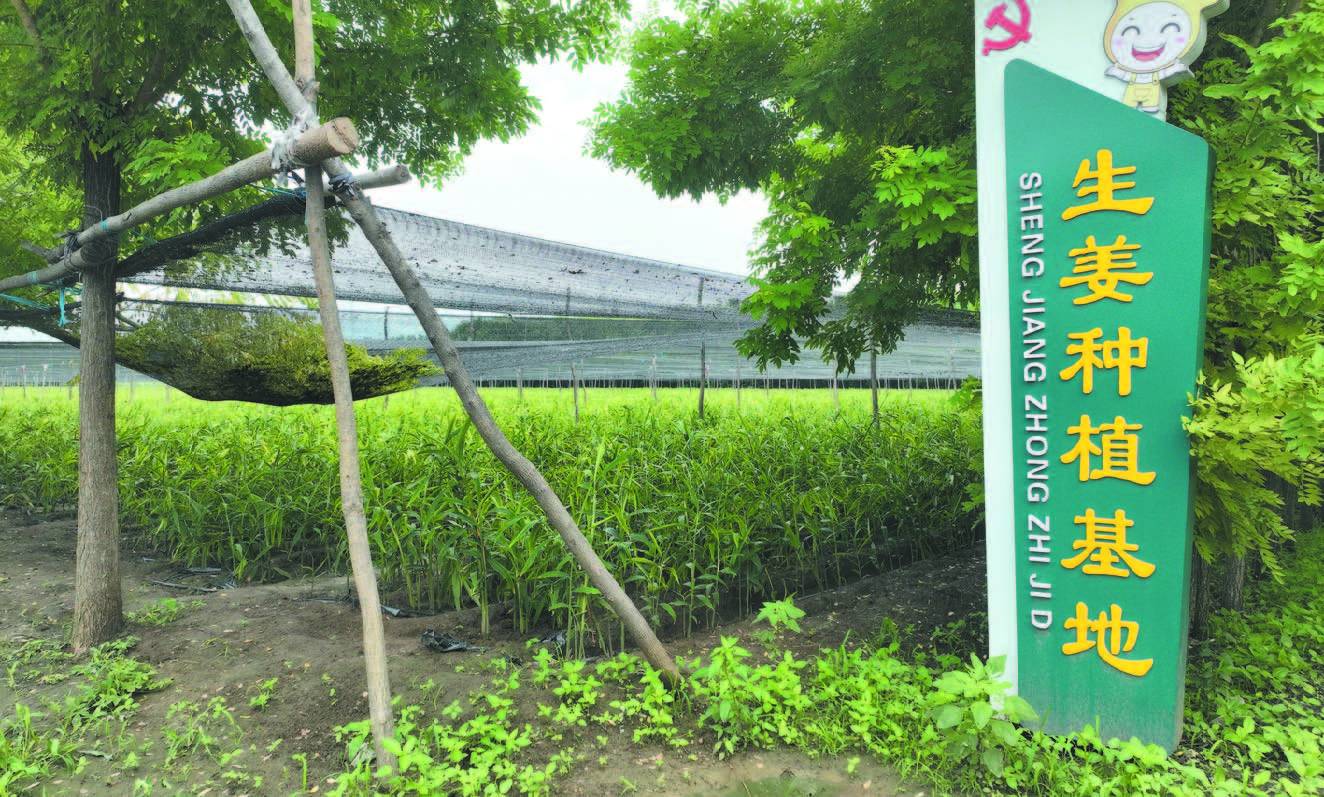 ������ƽ�������򣺰�Ķ������ӭ���ա�&nbsp;ǧ�ֺ��¿⡰���¼ҡ�