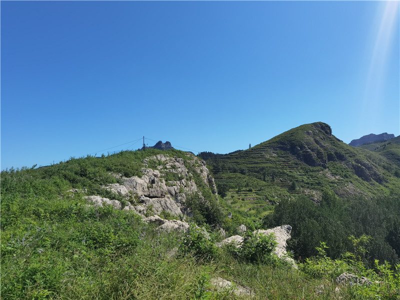 �Ͳ����ʹ�����ǧ���볤�����ˡ��ǻ�Ѳ��Ա��