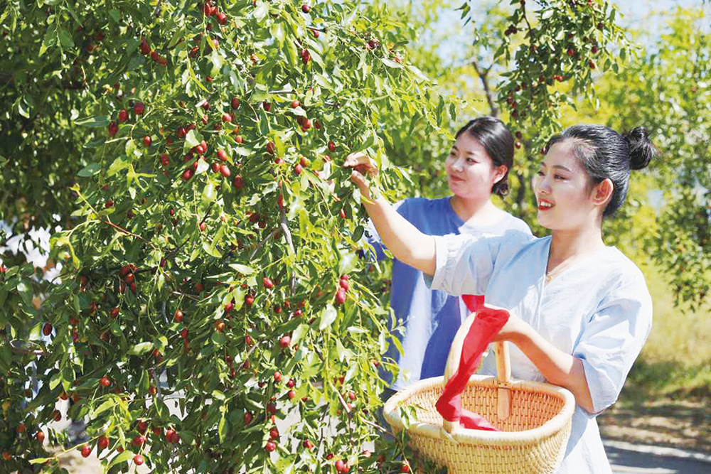 ��������С���ٵǡ�2023�й���Ʒ������Ʒ�Ƽ�ֵ�񡱣�λ��ȫ��������Ʒ�Ƶ���