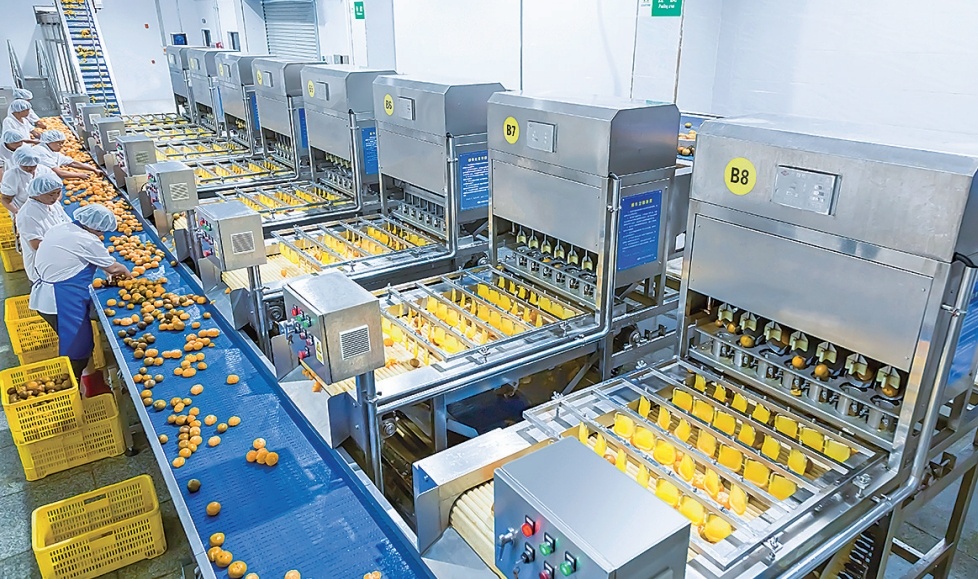 ���ൺ�������߹�ͷֱͨȫ��25��ͷ������