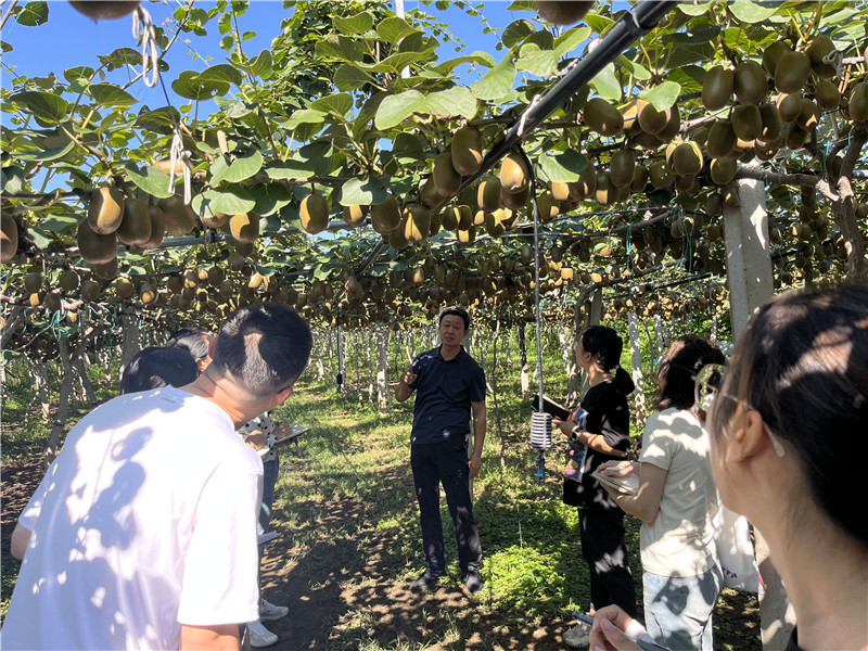 �Ͳ��в�ɽ��ԴȪ����⨡���ҵӭ��������