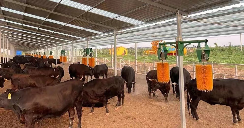 ��ȫҪ��Эͬ�����Ͳ��������