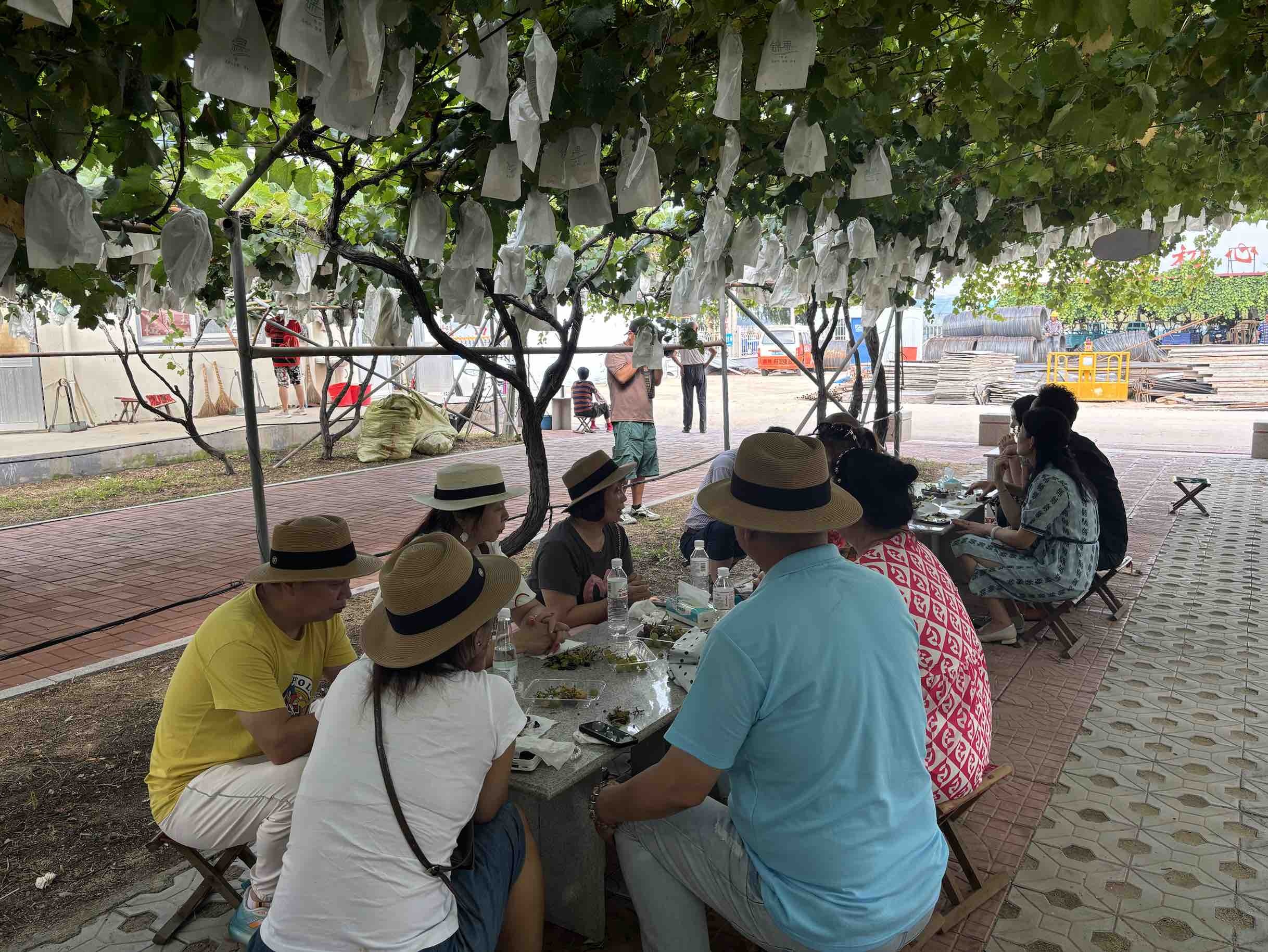 �ൺƽ���У�һ�����ѵĲ�ҵ�ó�