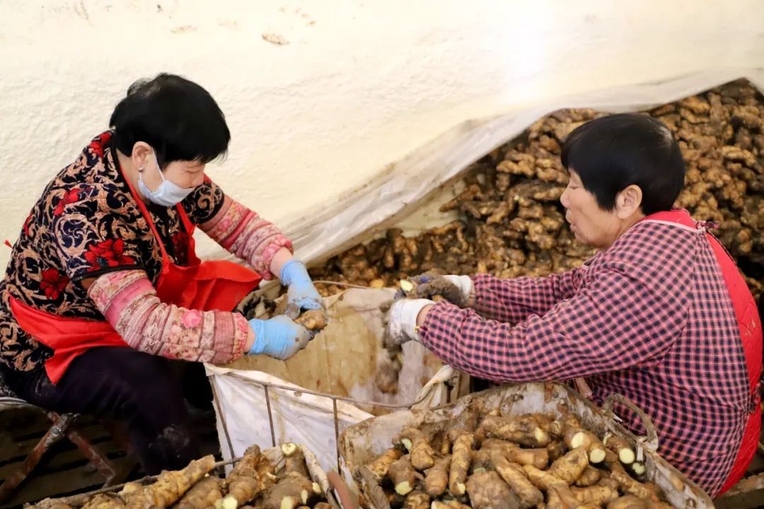 ������ƽ�������������´�ũҵ��������չ���ܽ�����