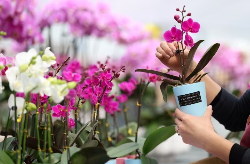 ������۰���أ�����������ӭ�����ˡ�