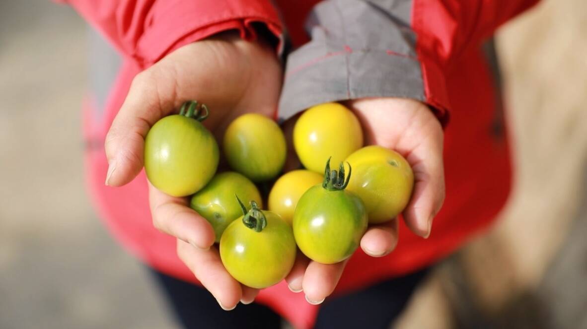 �Ͳ������������߶�ũ��Ʒ�����¸�·