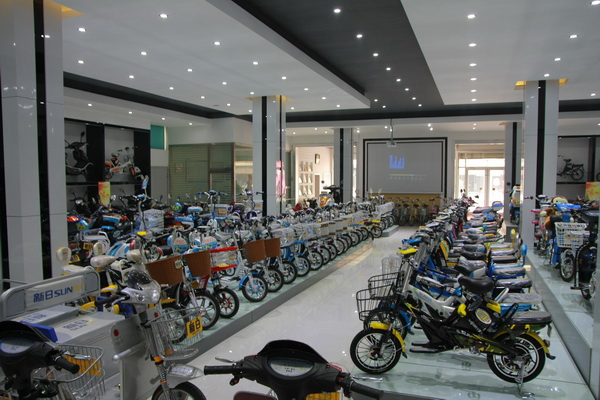 ���յ綯����Ʒ��ռ���г�