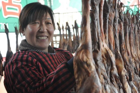 �г�:���ز�����