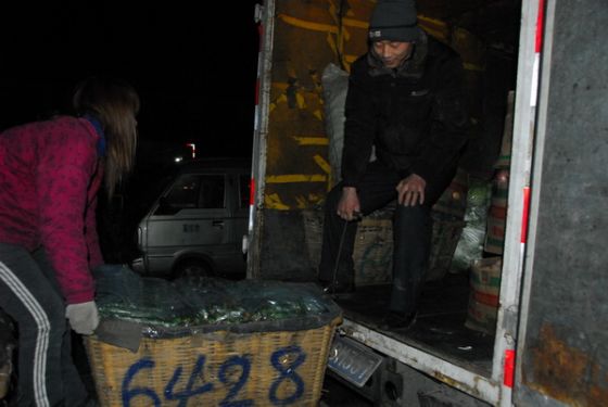 �˷���æµ���賿