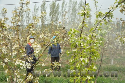 ��ѩ���滨&nbsp;��ũæ����