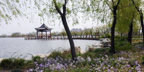 ������֮����ѩ