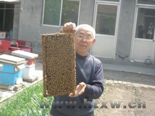 ���조���ۡ���������