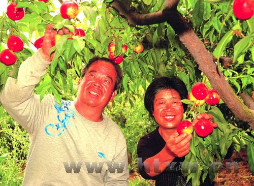 ���ҡ�������ϲ�����