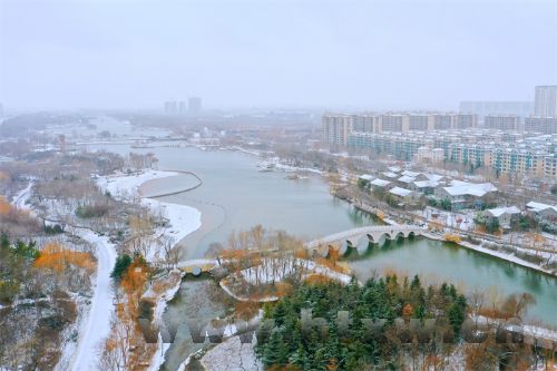 ��̨ѩ����Ƭ���ߣ������򿨣�