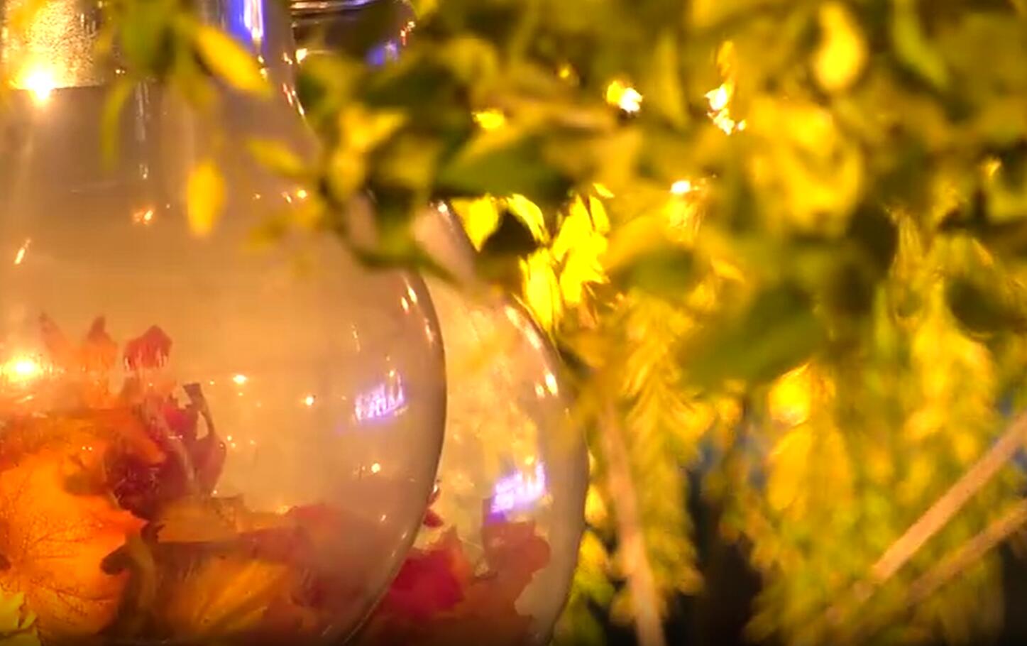 �����в����أ���������ů&nbsp;ϲ����´�